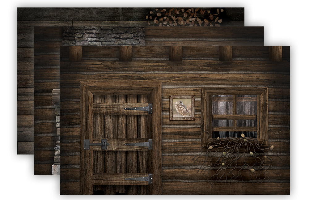 Abandoned Cabin
