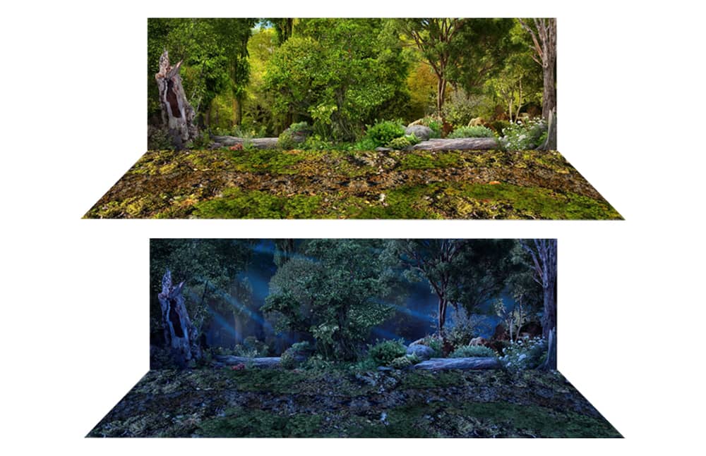 Forest