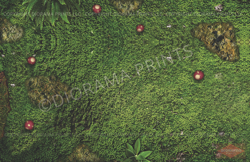 Jungle