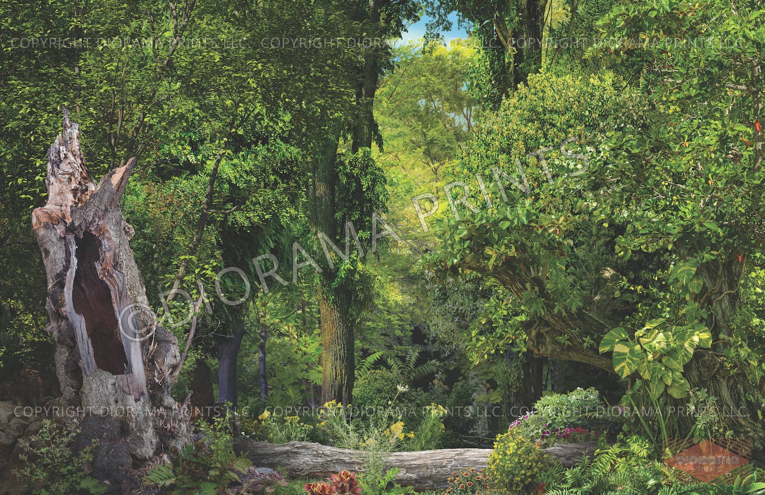 Forest