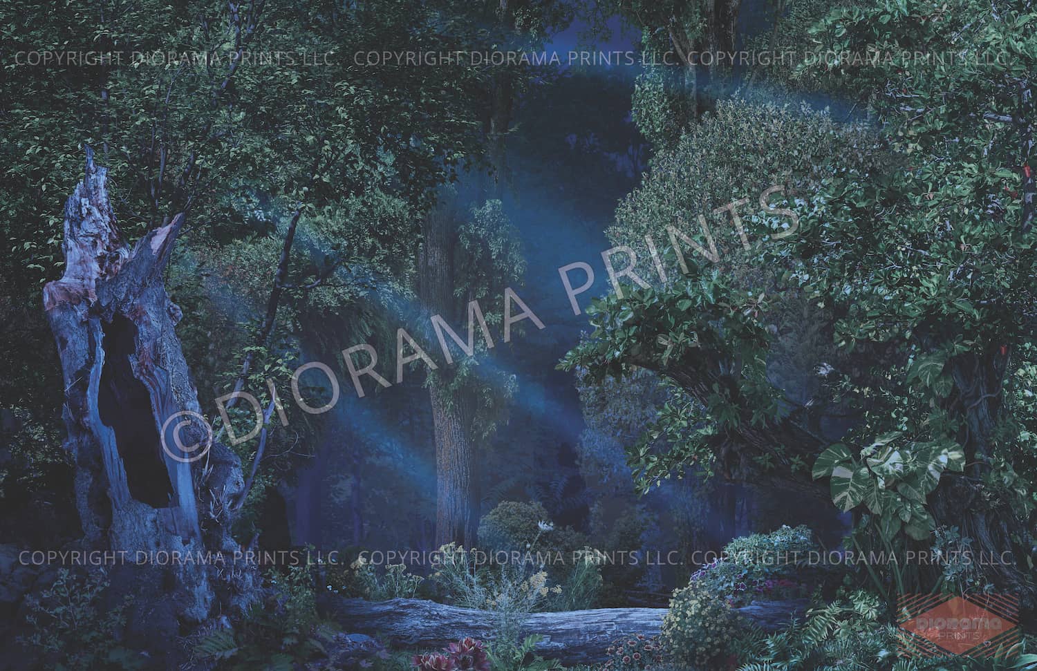 Forest