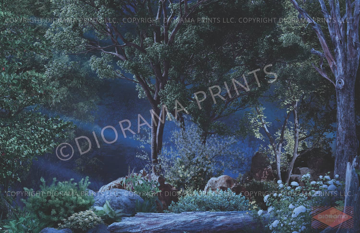 Forest
