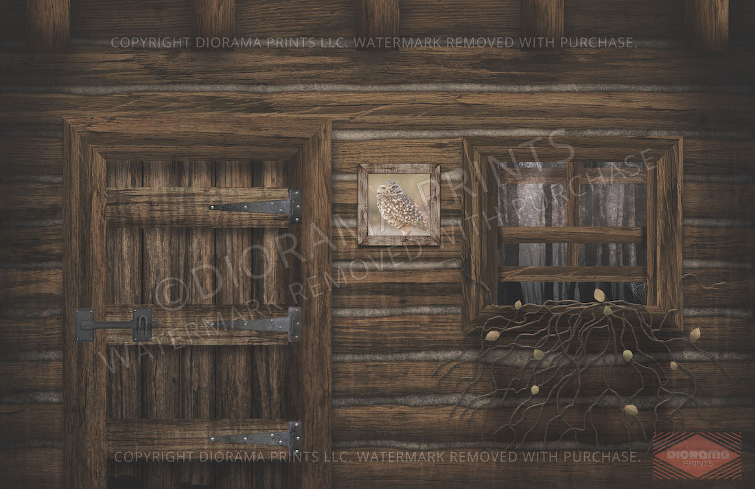 Abandoned Cabin